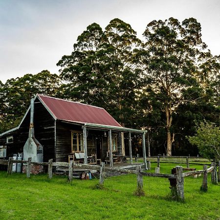 Cosy Farmstay: Green Cabin At Whispering Woods Beedelup Dış mekan fotoğraf
